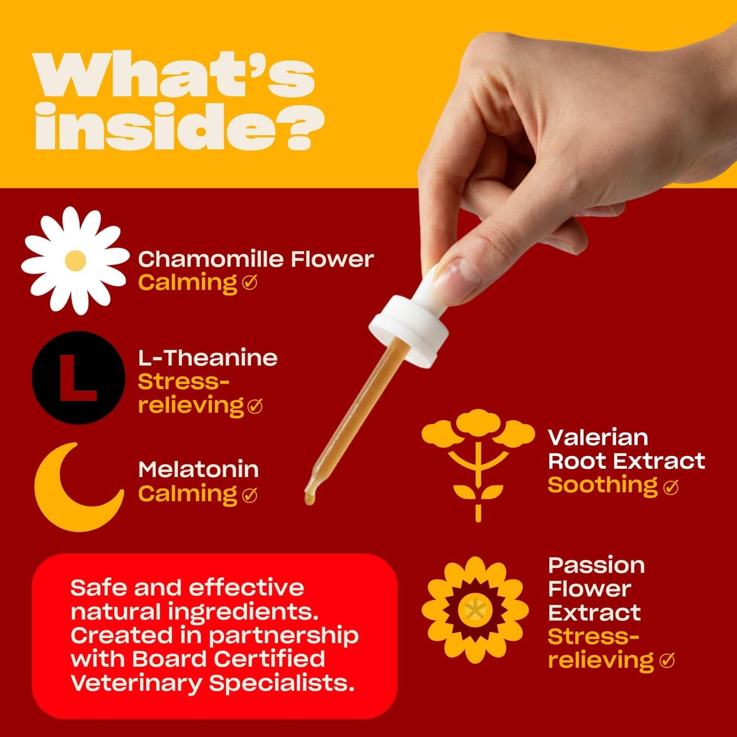 OH NORMAN! Calm Down! by Kaley Cuoco - All-Natural Calm Supplement for Dog Stress Relief - Vet Nutritionist Approved for All Life Stages and Breeds - 1 Fl Oz Calming Supplements for Dogs