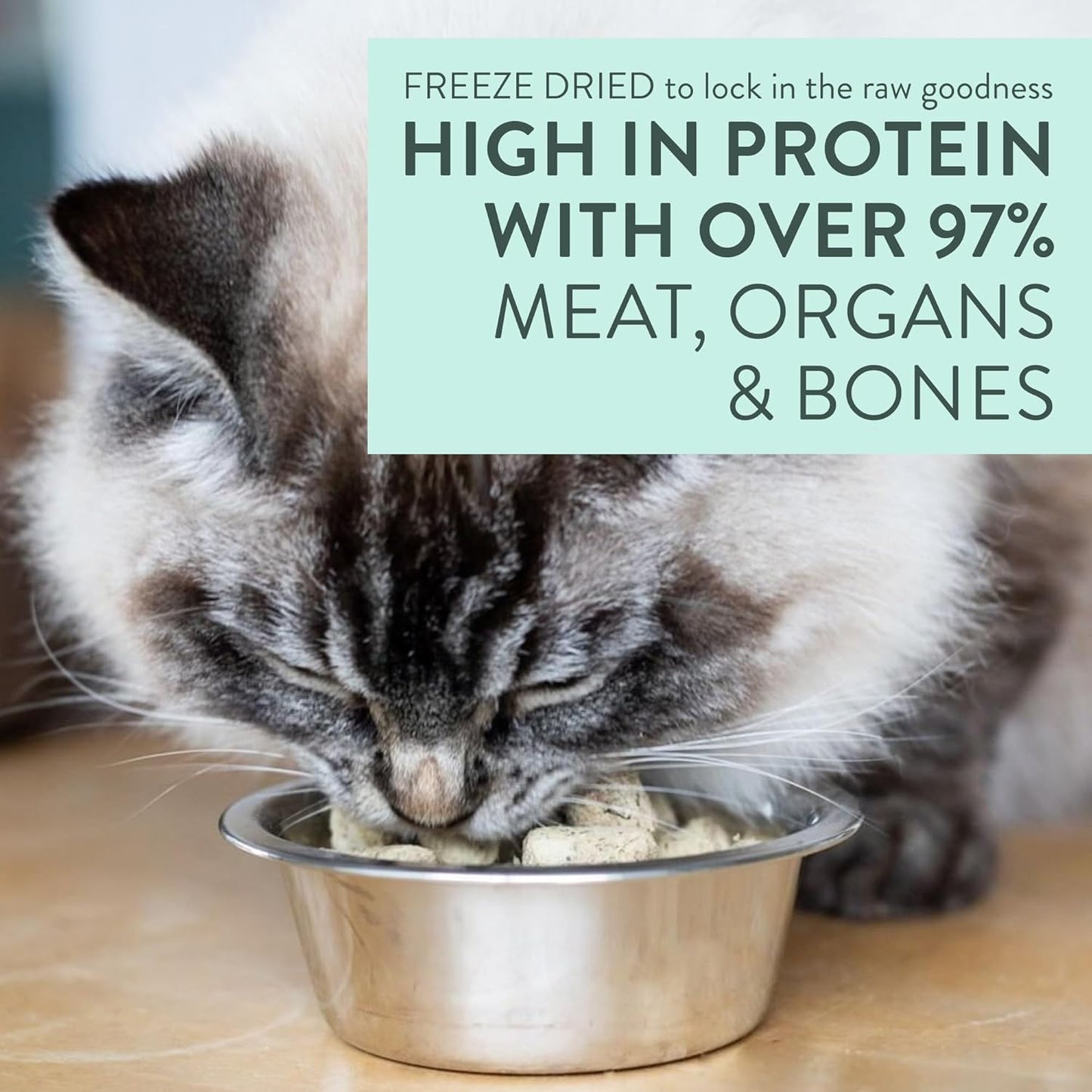 Meow Freeze Dried Cat Food - Wild Venison Recipe, High Protein Treats, Meals & Toppers, Dry Cat Food, 9.9 oz