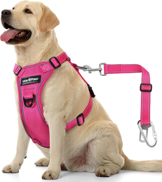 Dog Seat Belt Harness for Car, Dog Car Harness Adjustable Mesh Breathable & Dog Seatbelt Safety Tether with Elastic Bungee for Small Medium Large Pets(Rose, XL)