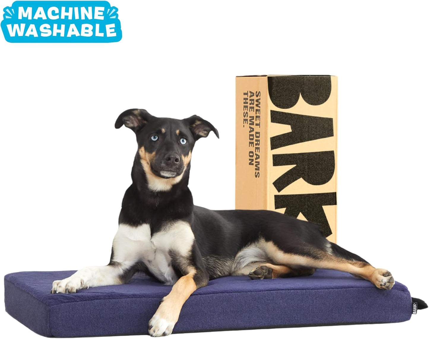 Barkbox Orthopedic Dog Bed with Memory Foam, Premium Comfort for Dogs and Puppies, Dog Bed for Joint Relief and Restful Sleep, Durable and Easy to Clean - Navy, Medium