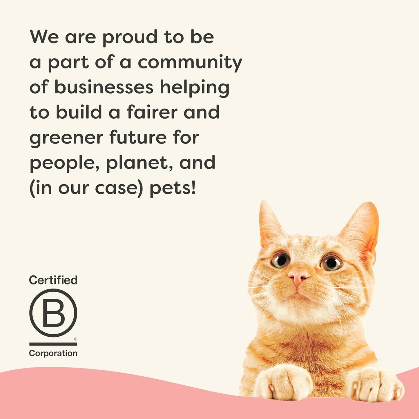 Applaws Vitality Wet Cat Food Paté, Natural Canned Cat Food, Wet Food for Cats with Added Vitamins and Minerals, Grain Free, Carrageenan Free, Tuna Fillet and Salmon Recipe (24 Count, 2.47 oz Cans)