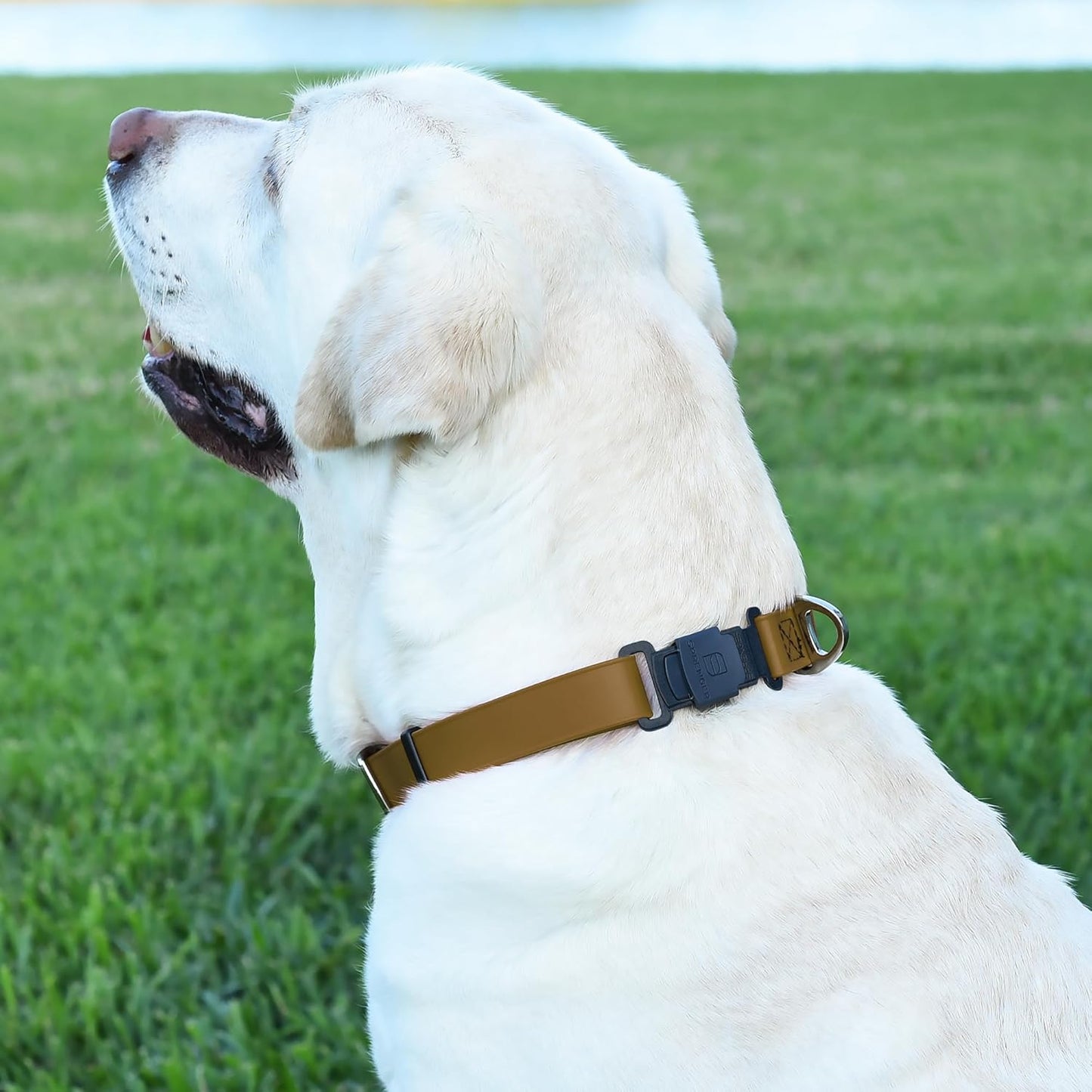 Dogline Biothane Waterproof Dog Collar with Herm Sprenger Stainless Steel Quick Release Buckle – Heavy Duty Tactical Durable Collar for Dogs – Comfortable and Safe Pet Collar, W 1" L 15-25", Brown