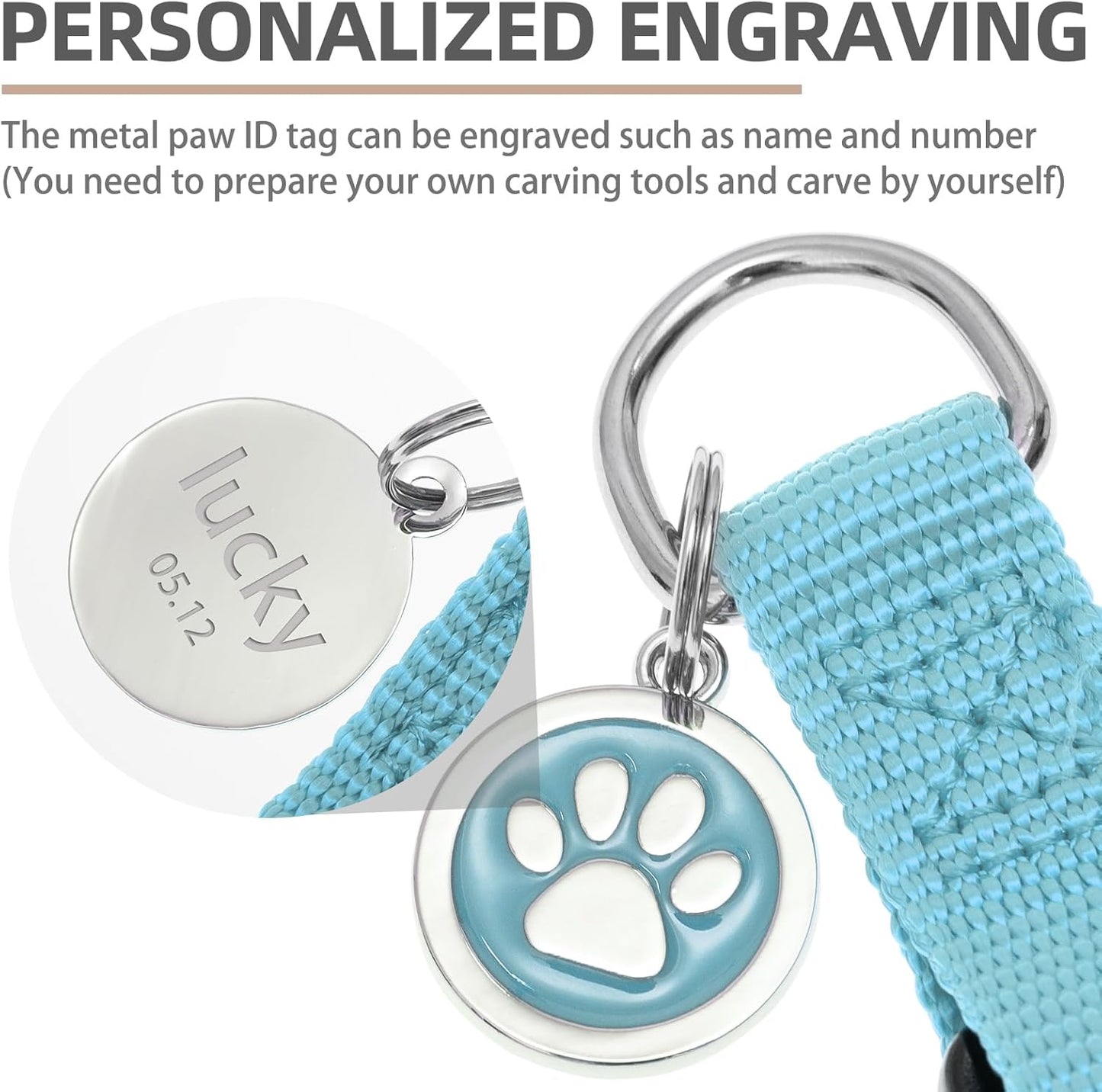 PUPTECK No Pull Dog Harness Soft Adjustable Basic Nylon Step in Puppy Vest Outdoor Walking with ID Tag and A-ir Tag Case, Sky Blue, S