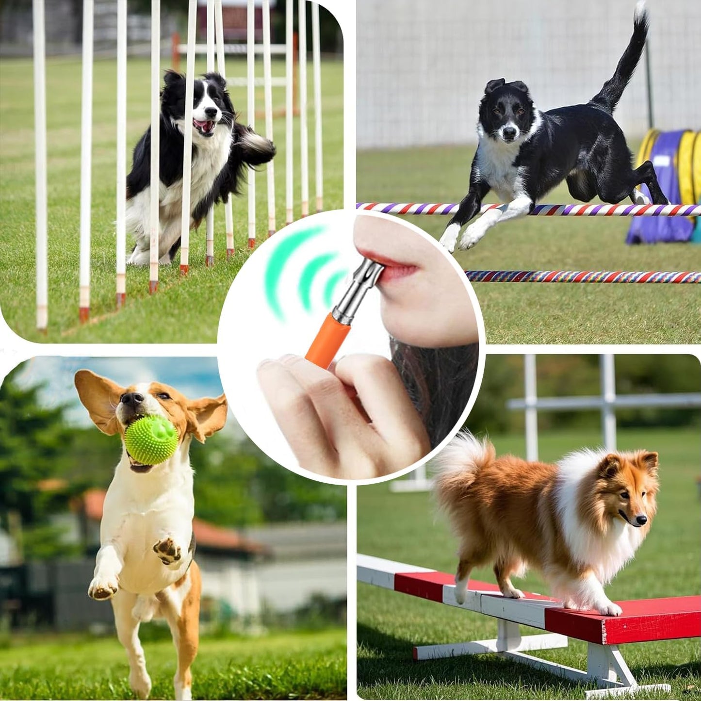 3 PCS Dog Whistles Set, Adjustable Recall Dog Training Whistle Silent Dog Whistle to Stop Barking with Lanyard,Dog Clicker(Orange)