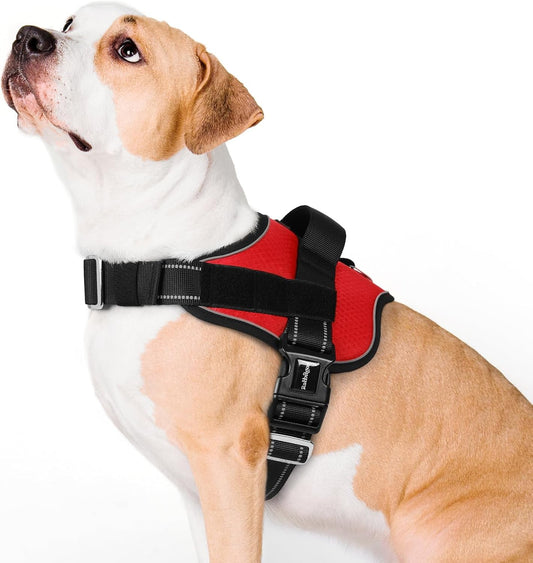 rabbitgoo Dog Harness for Large, Easy On Pet Vest with One Buckle, No Pull Adjustable Service Harness with D-Ring & Handle, Reflective for Safety Walking, Training, Red, L