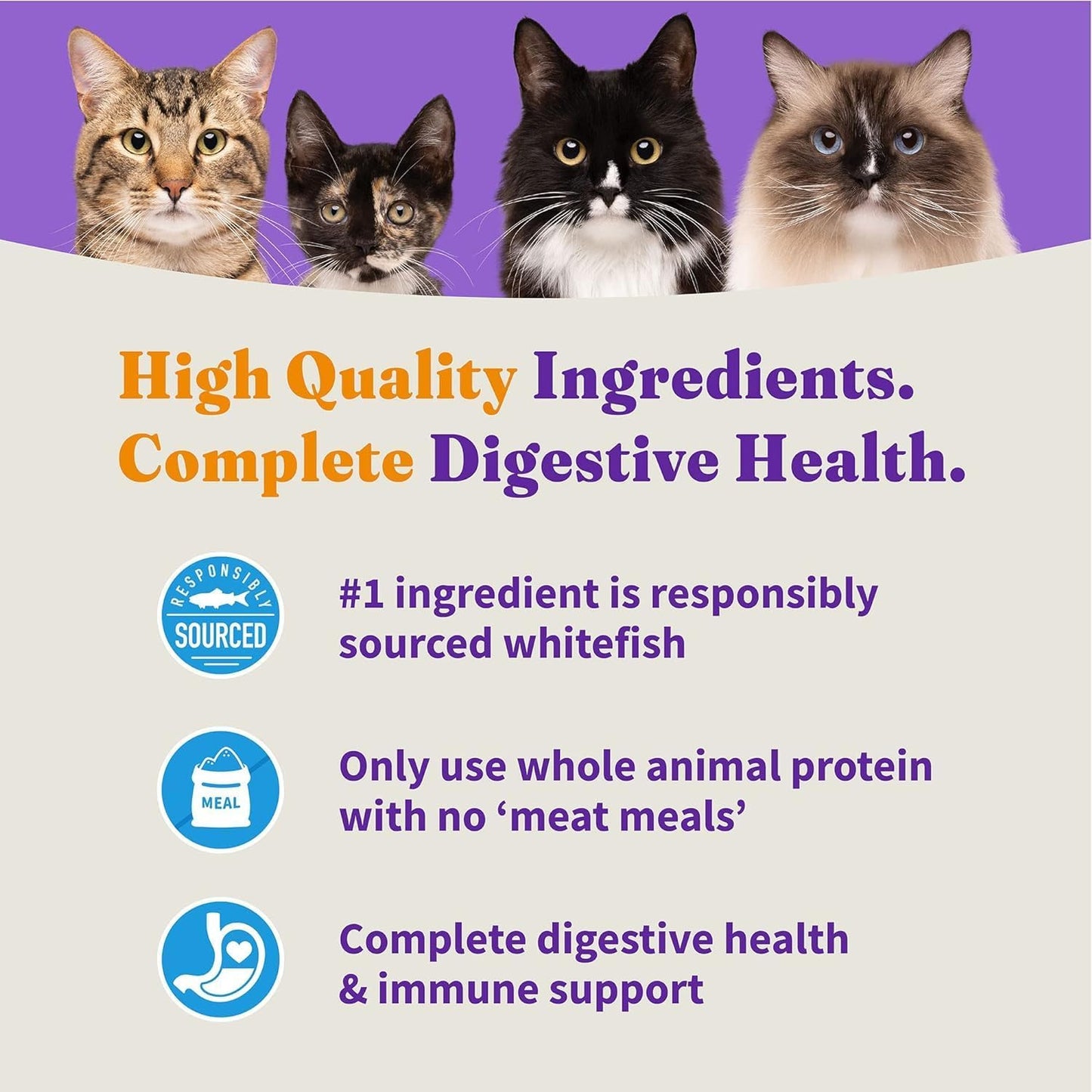 Halo Holistic Cat Food Wild Caught Salmon & Whitefish Formula, Healthy Grains Dry Cat Food, For Sensitive Stomach Support, Kibble for Adult Cats, 6 lb Bag