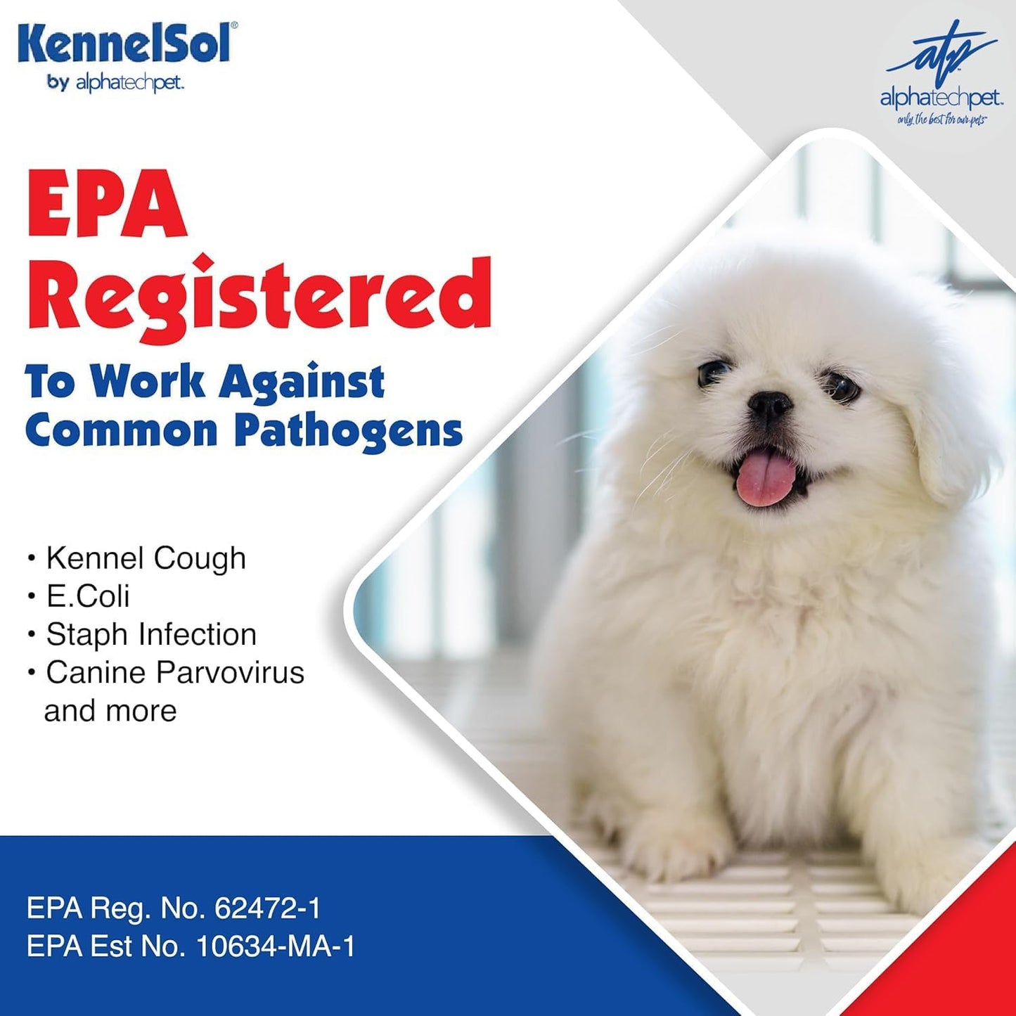 ATP KennelSol 1-Step Kennel Cleaner - 1 Pint Liquid Disinfectant, Effective Against Bacteria and Viruses, Deodorizer Wintergreen Scent by Alpha Tech Pet