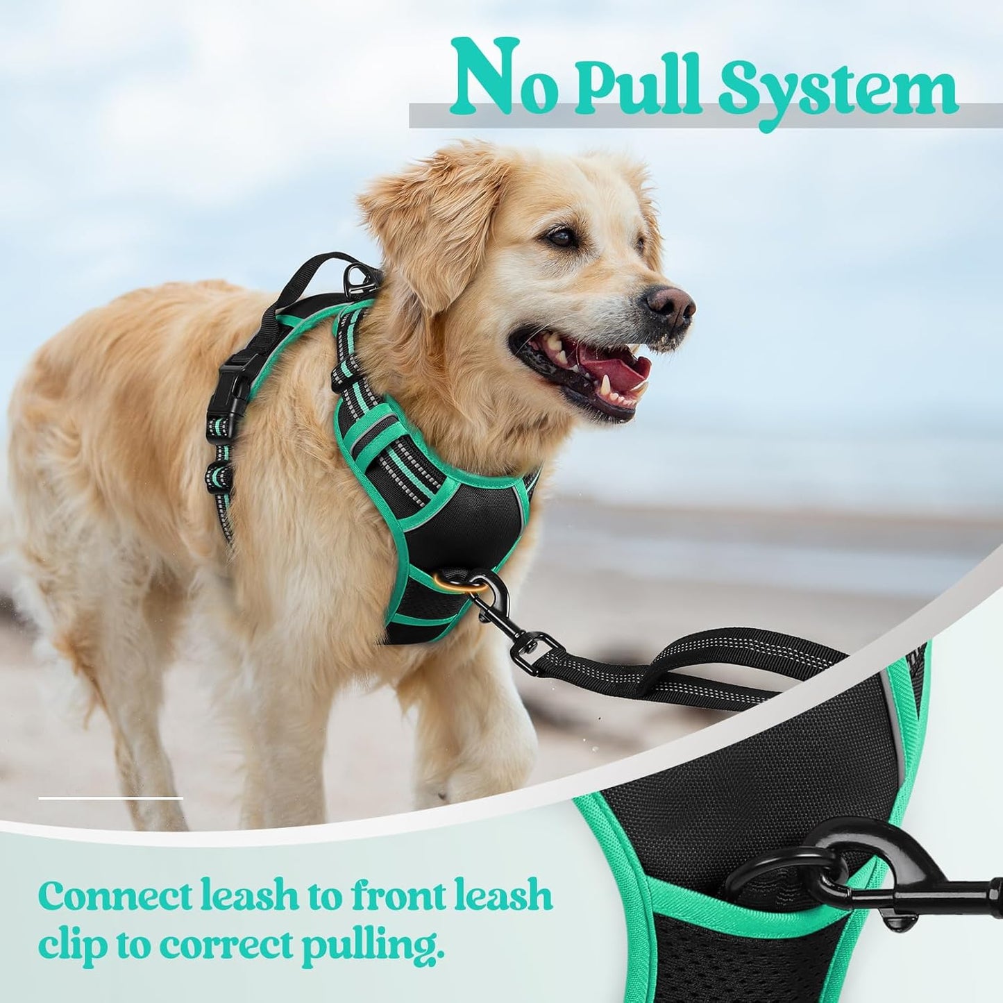 rabbitgoo Dog Harness No Pull with 2 Leash Clips, Adjustable Soft Padded, Reflective Oxford No Choke Pet Vest with Easy Control Handle for Large Dogs, Black & Turquoise, L