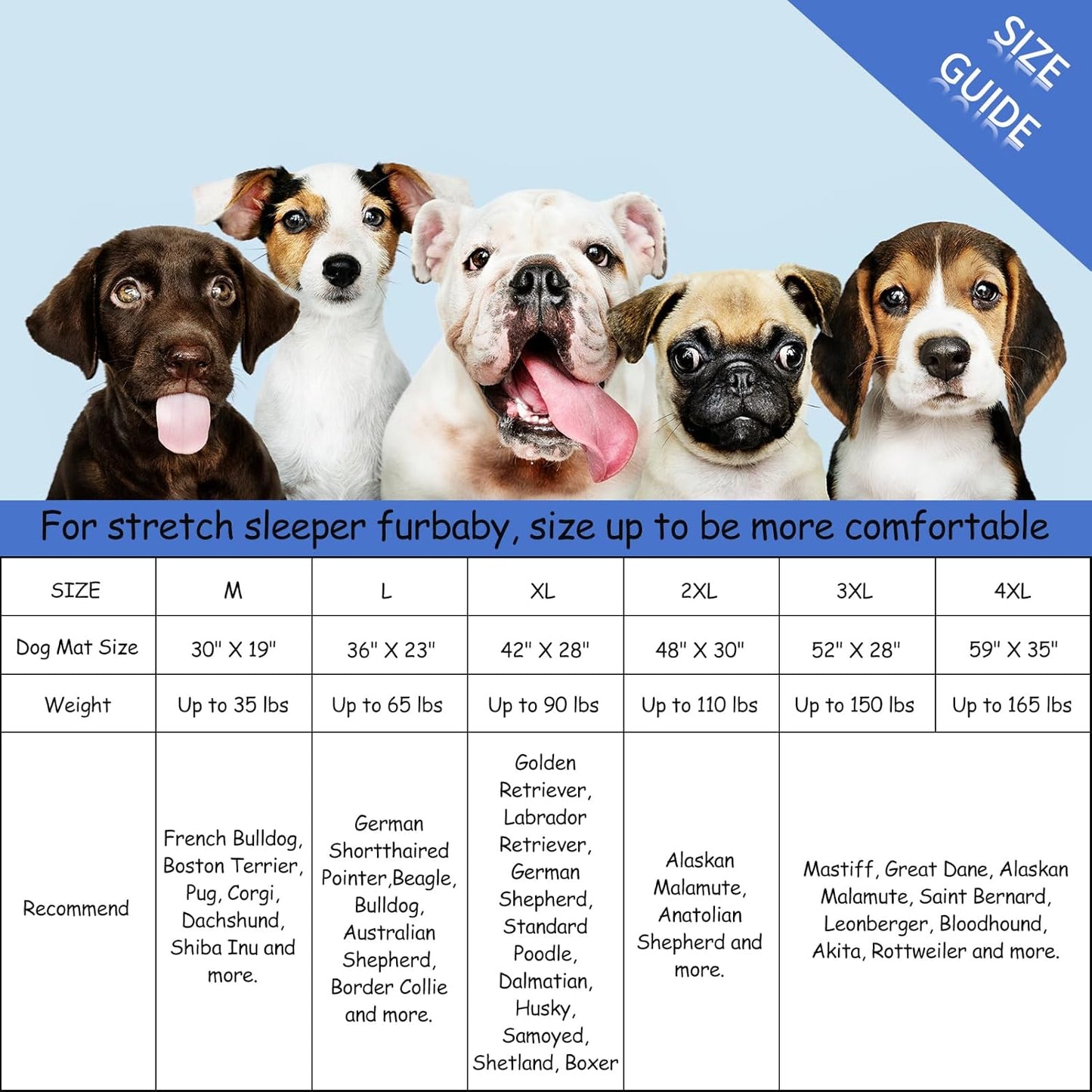 Bubble bear Dog Crate Mat - Ultra Soft, Washable & Anti-Slip Kennel Pad for Small/Medium/Large Dogs, Dark-Hued to Hide Stains (30"x19")