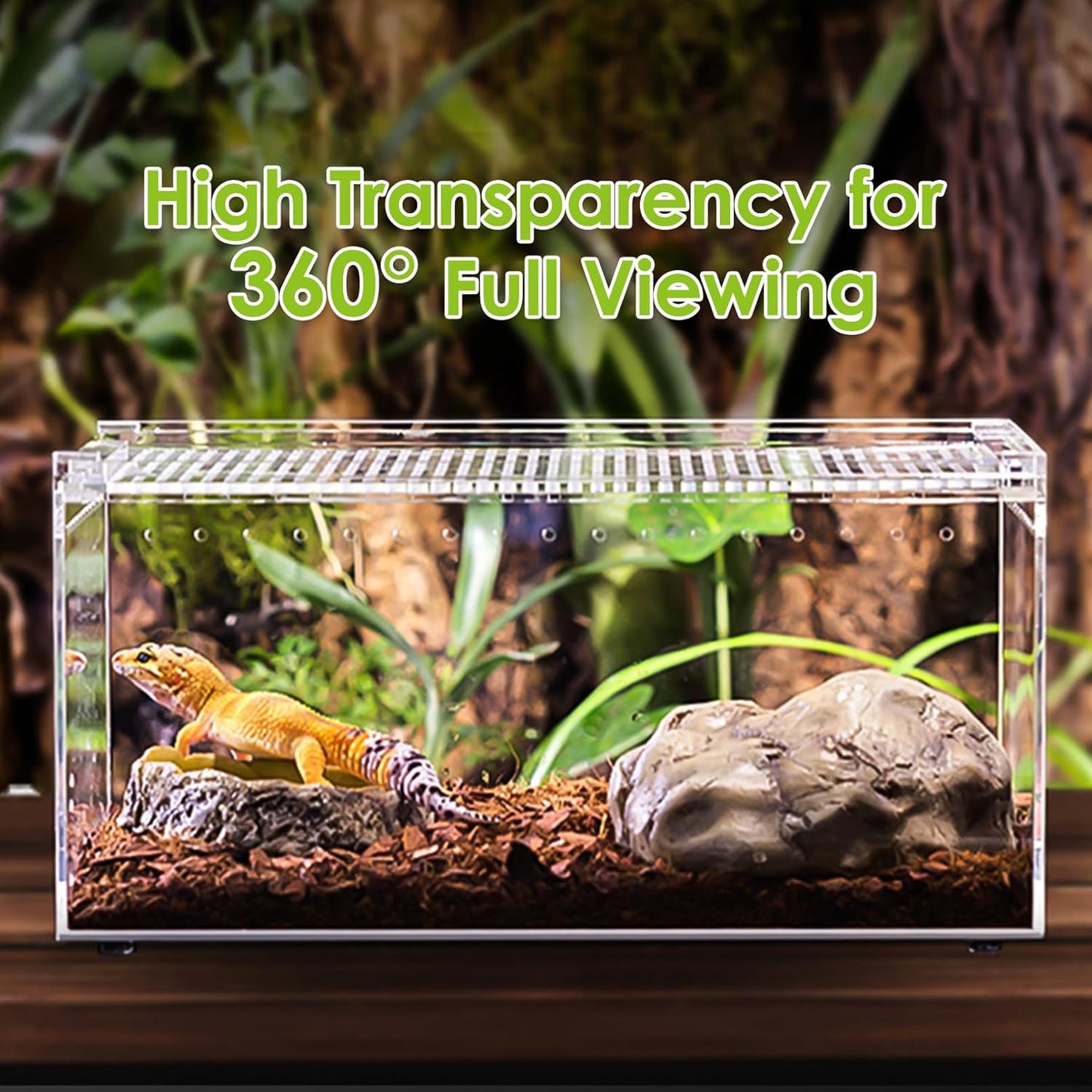 Reptile Terrarium Enclosure 8"x6"x4" Acrylic Tarantula Breeding Box Magnetic Hermit Crab Habitat Tank Transparent Jumping Spider Cage for Lizard Scorpion Sling Isopods Invertebrates Insect