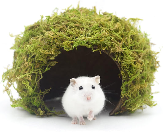Hamster Hideout - Large, Natural Moss, Handcrafted for Syrian Hamsters, Rats & Guinea Pigs, Safe & Eco-Friendly