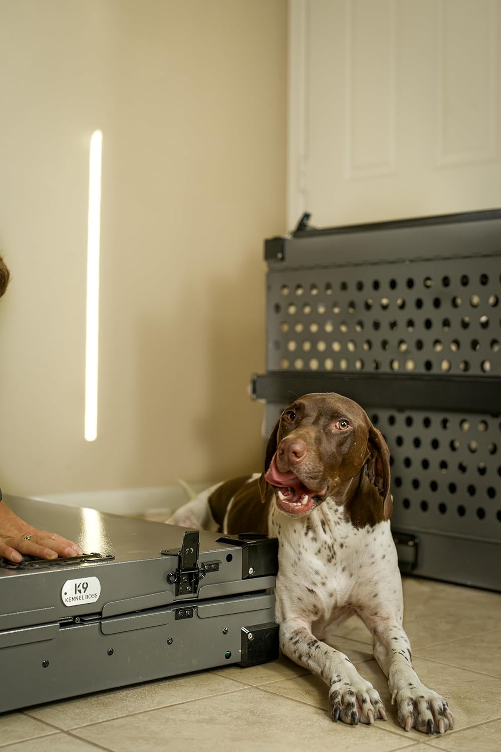 Heavy Duty Fully Collapsible Powder-Coated Aluminum Dog Crate - Large (Gray)