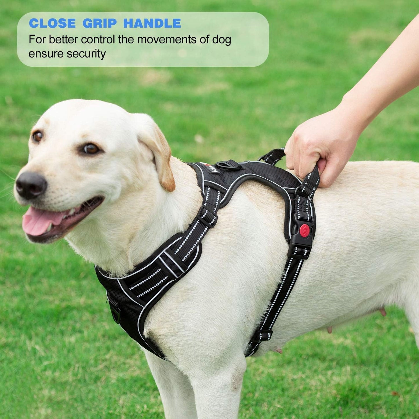 No Pull Dog Harness Adjustable Reflective Oxford Easy Control Medium Large Dog Harness with A Free Heavy Duty 5ft Dog Leash (S (Chest: 17.5"-21"), Orange Harness+Leash)