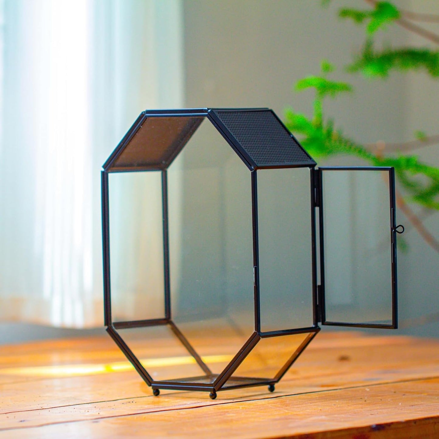 NCYP Glass Enclosure Terrarium with Mesh and Door for Jumping Spiders, Snails, Insects - Octagon Shape Small Succulents Terrarium 6.2 x 3.1 x 8.7 inches, Black Tabletop Decor (Plants Not Include)