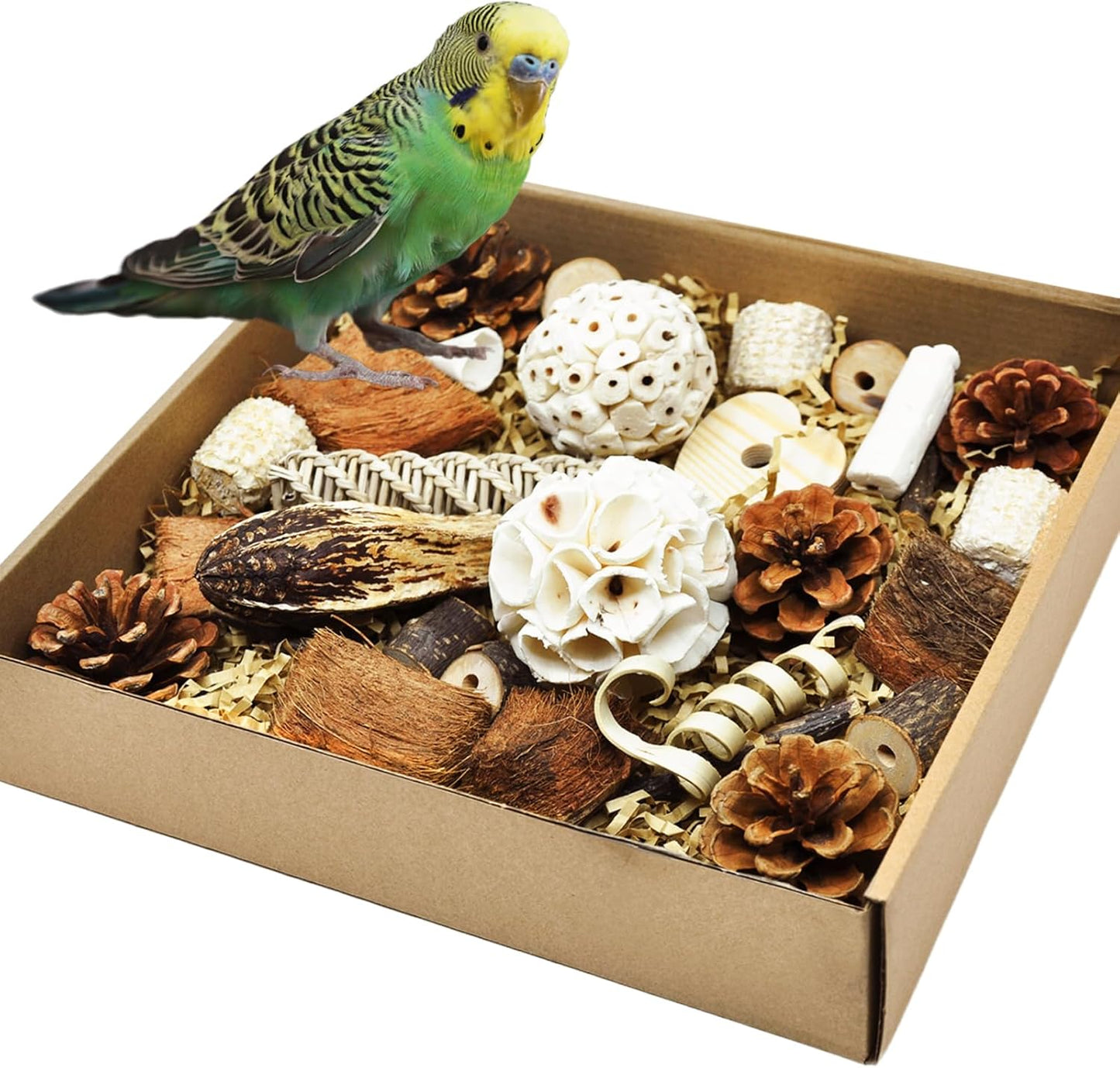 Natural Bird Foraging & Parrot Shredding Toys Box - Interactive Chewing and Foraging Toys for Parakeets, Cockatiels, Conures, Love Birds, and Small to Medium Birds