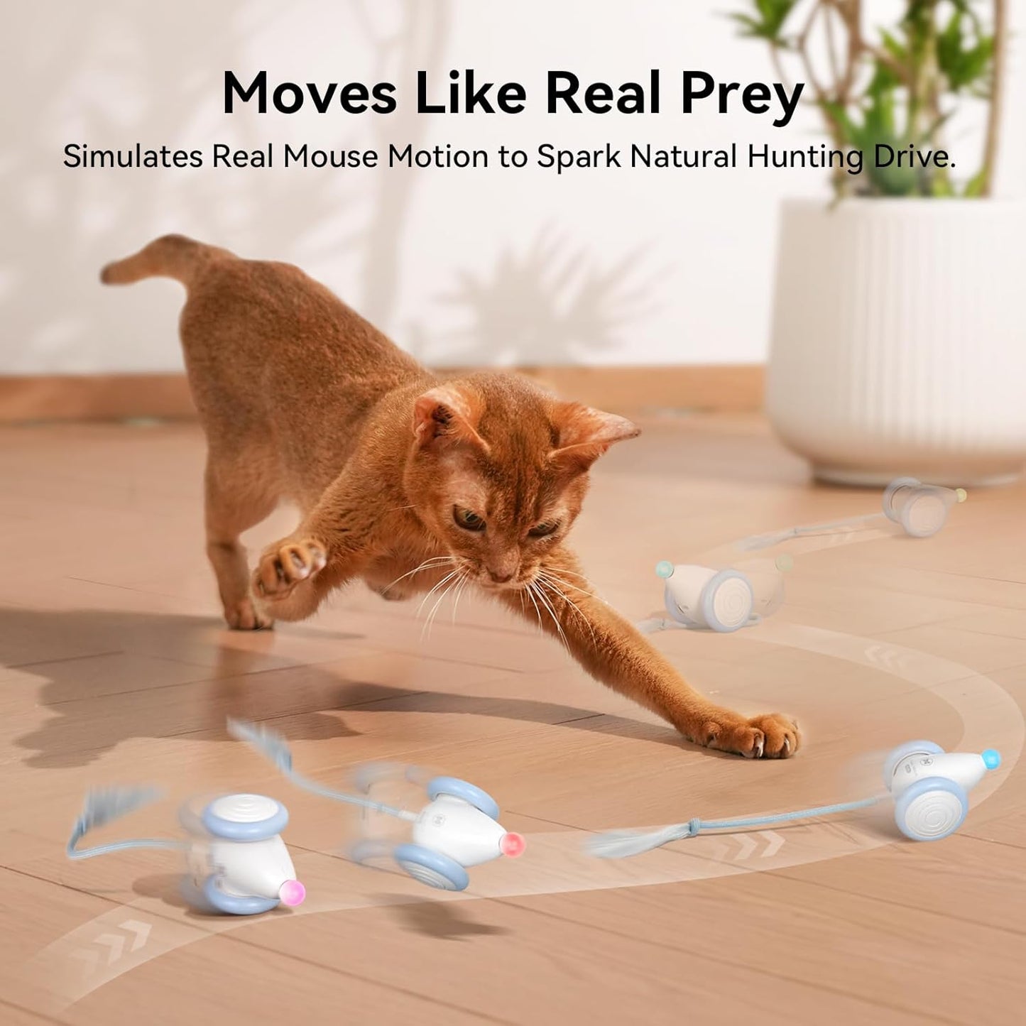 Cheerble Interactive Cat Toys for Indoor Cats, Automatic Moving Kitten Toys, Wicked Mouse Neo Cat Toy with Tail & Lights, Pet Cat Supplies, Rechargeable Cat Toys for Bored Indoor Adult Cats,Blue