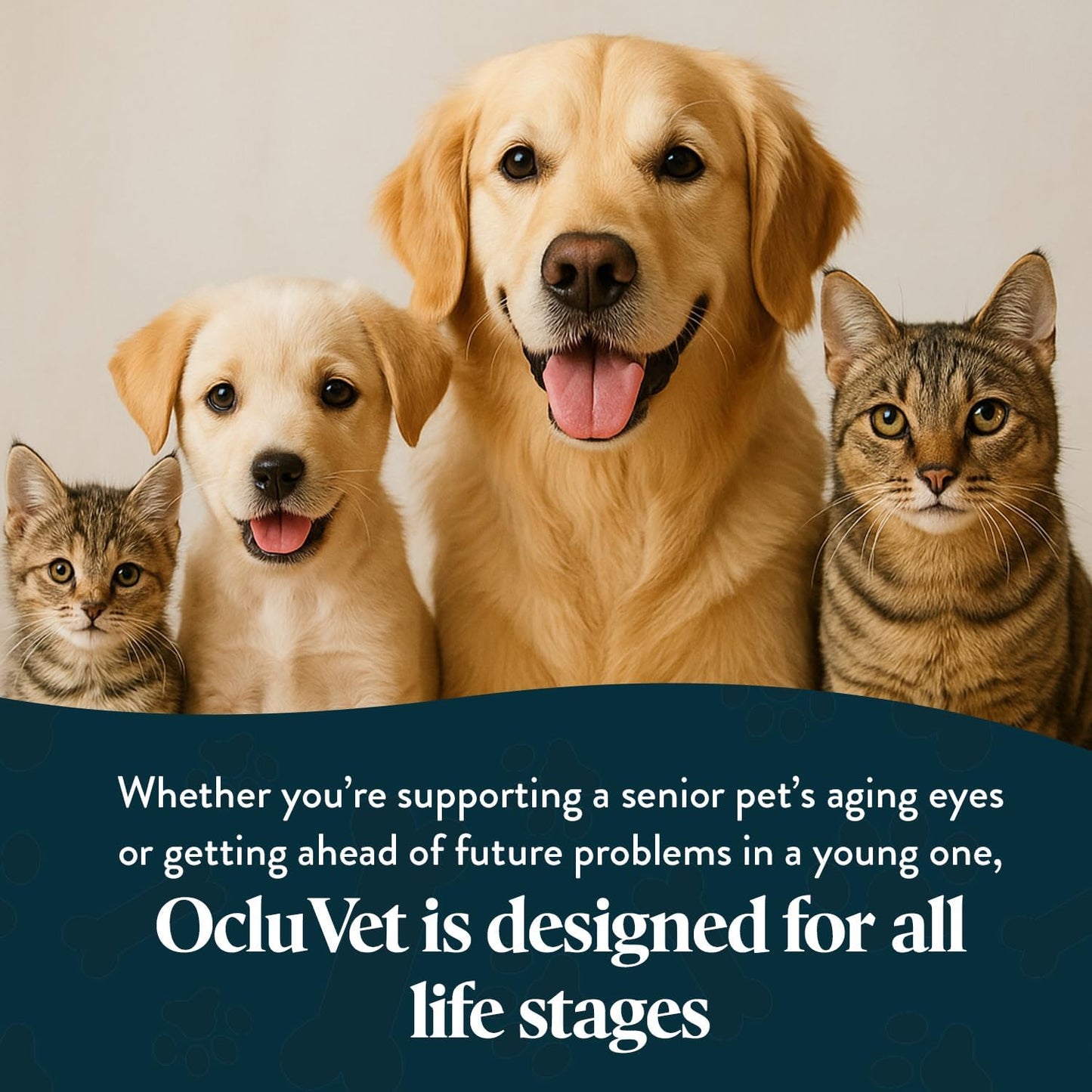 Vision Chews Eye Supplements for Dogs & Cats, Natural Chicken Flavor, Contains Omega 3, Lutein, Antioxidants, & More, Cat & Dog Eye Supplements, No Preservatives, Made in USA, 1 Bag, 30 Chews