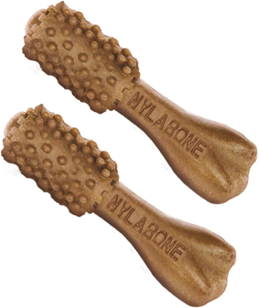 Nylabone Nutri Dent Dog Dental Chews - Natural Dog Teeth Cleaning & Breath Freshener - Dental Treats for Dogs - Filet Mignon Flavor, Mini (160 Count)