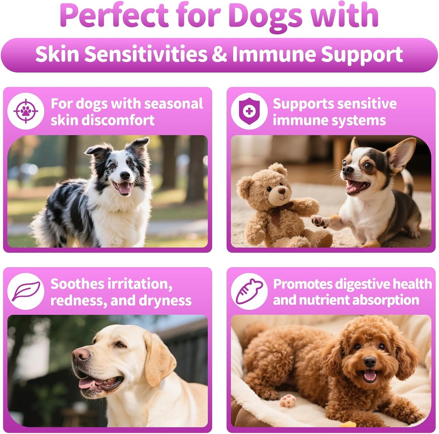 Dog Allergy Relief Chews, Itch Relief for Dogs – Turmeric & Omega-3 Supplements for Skin Comfort, Coat Health & Seasonal Support, Immune Care with Biotin & Quercetin – Beef Flavor, 90 Count