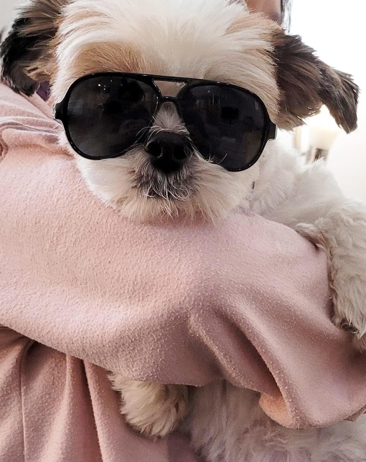 G029 Dog Cat Pet Aviator Pilot Sunglasses Glasses for Small Breeds up to 15lbs (2-Pack Black + Tortoise Brown)