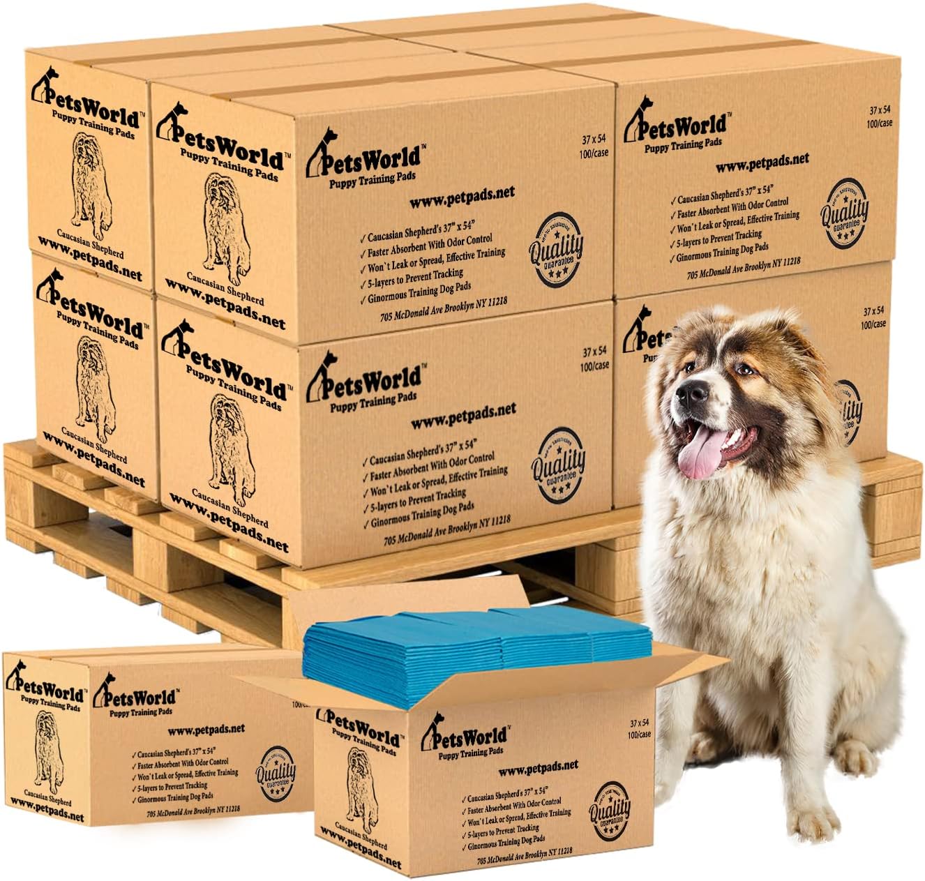 PETSWORLD Enormous Dog Training & Potty Pads, 37x54 inch - Tear Resistant with Strong Leak-Proof Backing, Optional Adhesive Tape, 1000 Count