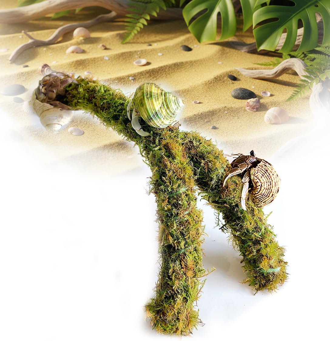 Duspro Hermit Crab Climbing Toys – Y Shaped Flexible Moss Pole Wrapped in Soft Yarn and Forest Moss, Hermit Crab Accessories and Easy-to-Use Hermit Crabs Supplies – Perfect for Climbing (12 inches)