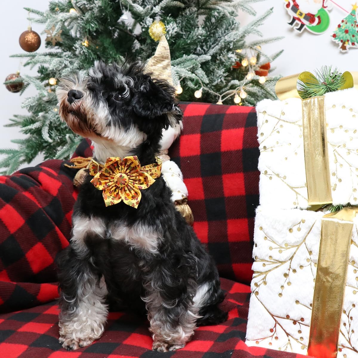 Lionet Paws Thanksgiving Day Dog Collar with Flower, Dogs Flower Collar with Metal Buckle for Dogs, Adjustable Comfortable Dog Collars Girl, XL, Neck 16-26 in