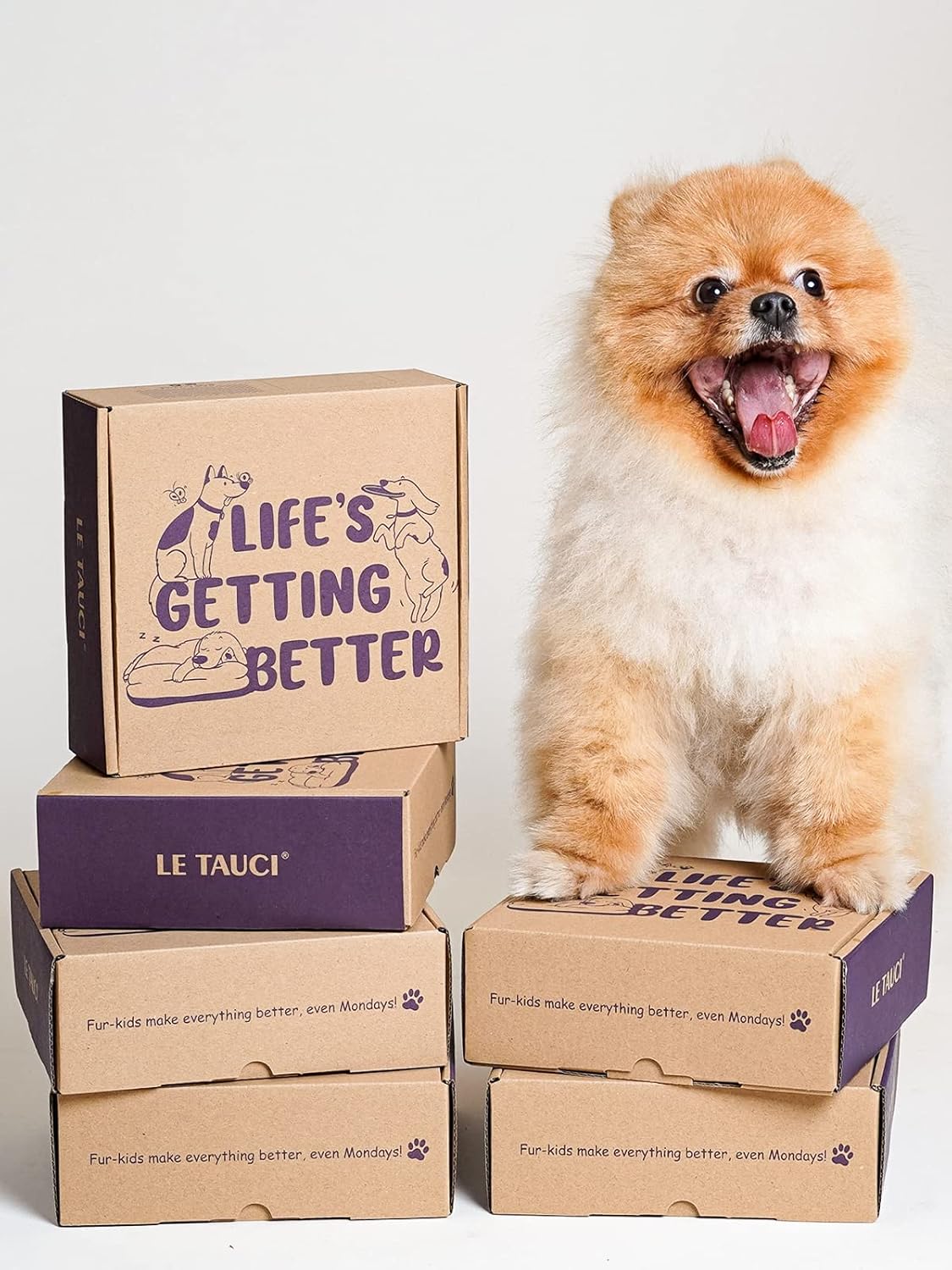 LE TAUCI Ceramic Slow Feeder Dog Bowls Small Breed, 0.6 Cups Dog Food Dish for Fast Eaters, Puzzle Bowl for Small Dogs and Cats,Pink Bloom