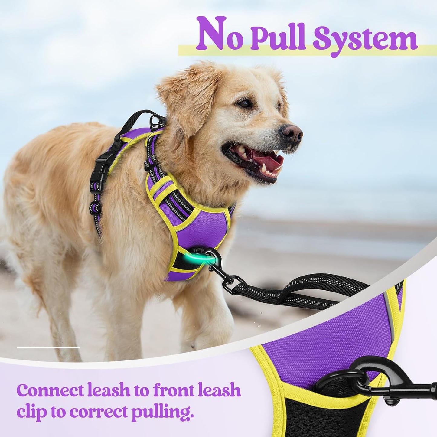 rabbitgoo Dog Harness No Pull with 2 Leash Clips, Adjustable Soft Padded, Reflective Oxford No Choke Pet Vest with Easy Control Handle for Large Dogs, Purple & Yellow, L