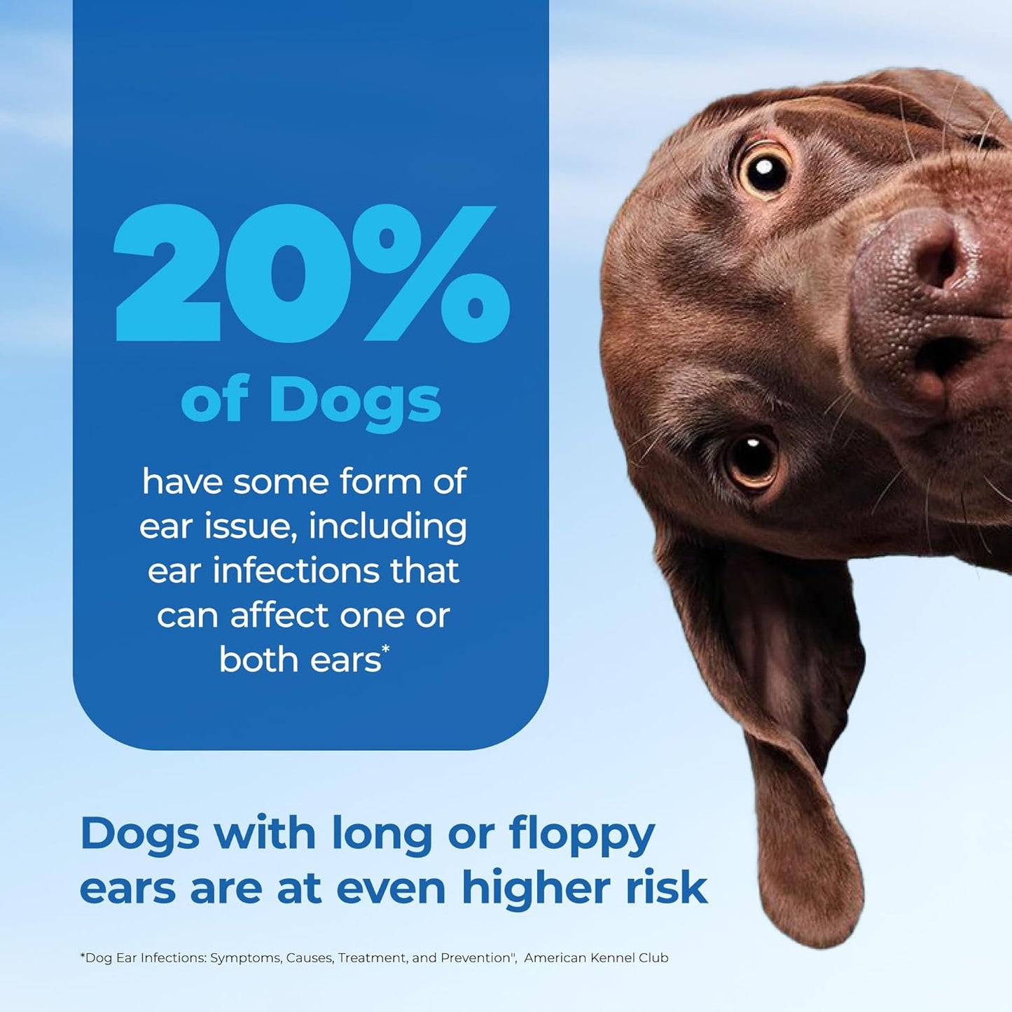 Vetnique Oticbliss Medicated Dog Ear Infection Treatment, Antiseptic Ear Cleaner for Cat & Dog Ear Cleaning Solution with Chlorhexidine & Ketoconazole (12oz Flush)