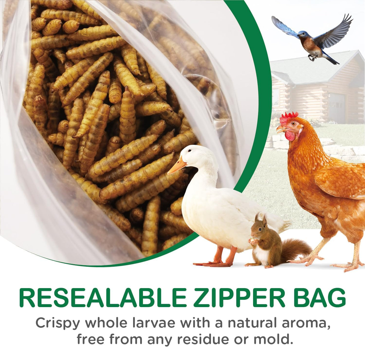 Ecoproento Dried Black Soldier Fly Larvae 10LB - High Calcium Chicken Feed - 85X More Calcium, High Protein Non-GMO Mealworms for Wild Birds, Ducks, Turkeys, Quails, Turtles, Chickens Treats