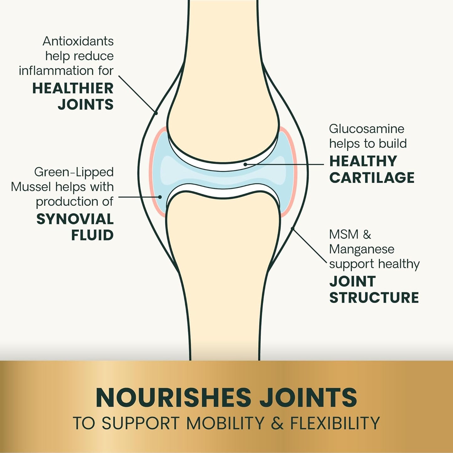 VetriScience Glycoflex 3 Clinically Proven Hip and Joint Support Supplement for Small Dogs - Maximum Strength Dog Supplement with Glucosamine, MSM, Green Lipped Mussel & DMG - 60 Chews,Chicken Flavor