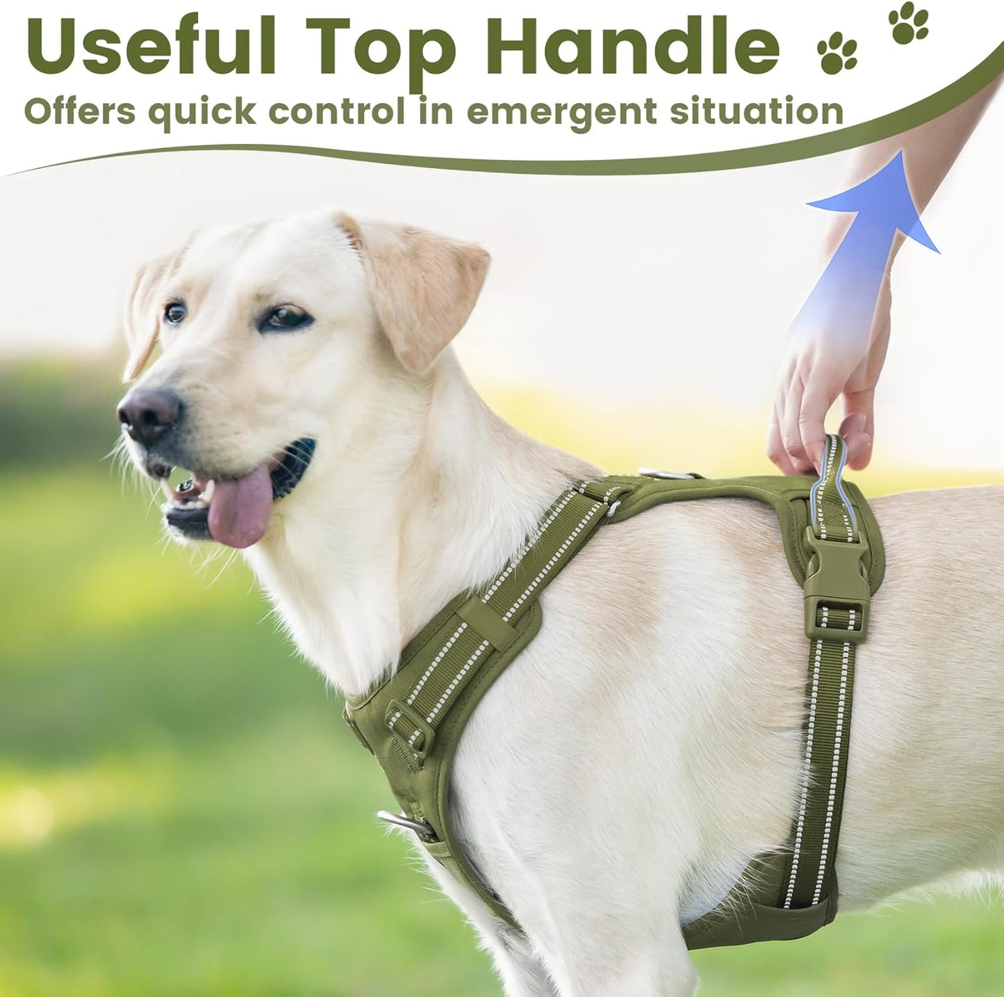 No Pull Dog Harness, Reflective Puppy Vest for Small Medium Large Sized Dog (Misty Green,L)
