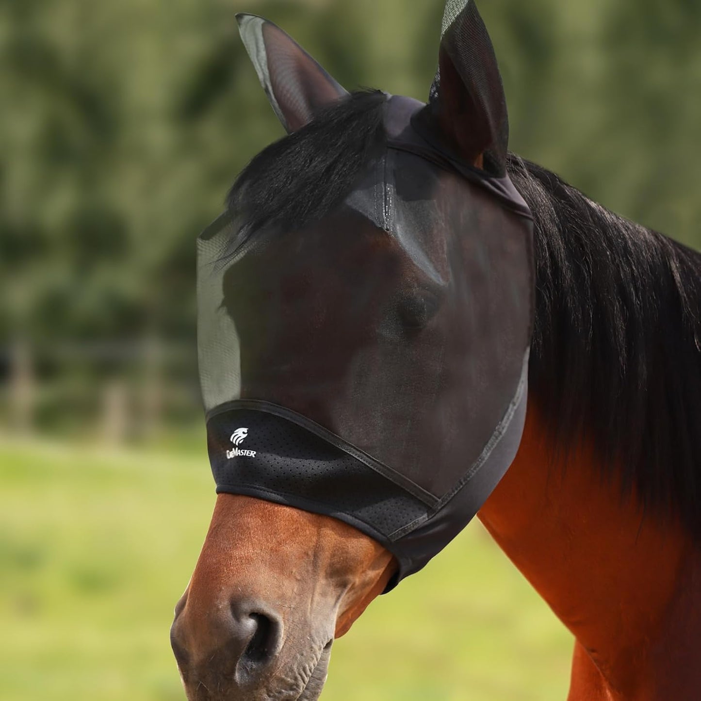 Horse Fly Mask Large Space Breathable UV Protection Equine Mask with Reflective Features on Ears Mars Black M