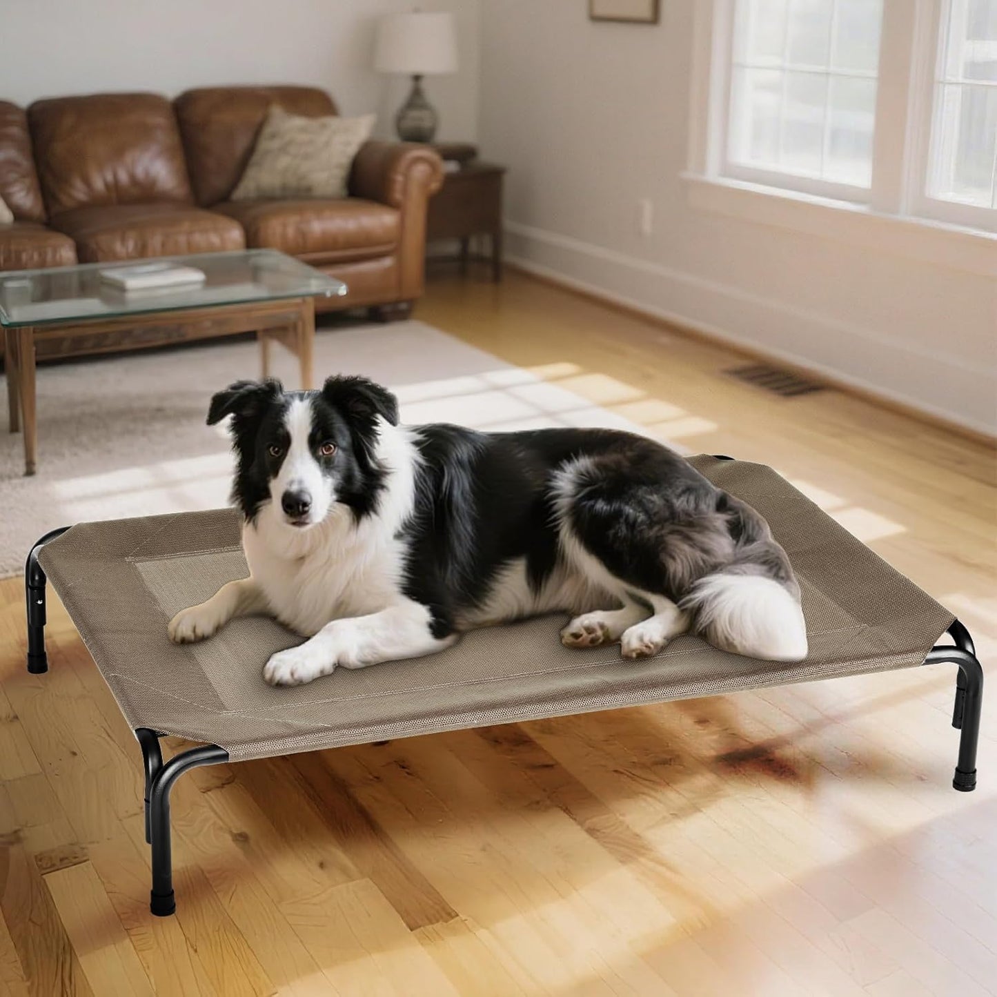 Elevated Dog Bed for Outdoor, XXXL Raised Dogs Cot with Washable Mesh, Cooling Pet Beds Chew Proof Dog Hammock, Metal Frame Lifted Platform for Training Outside Camping, 59 inch Brown