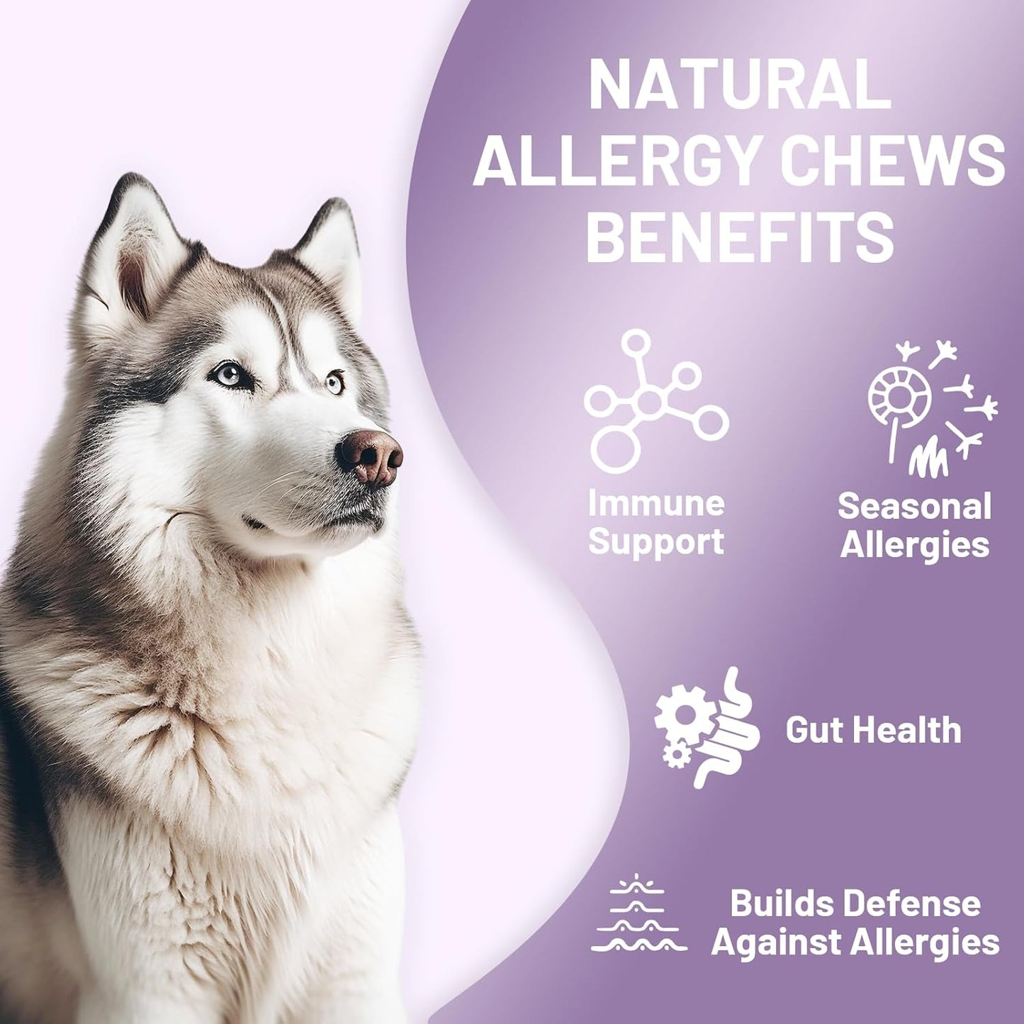 Noble Beast Dog Immune & Allergy Supplement - Itch Relief - Probiotics for Dogs - Skin & Seasonal Allergies - All Natural - Soft Chews with Hemp and Colostrum - Chicken Flavor - 120 Count