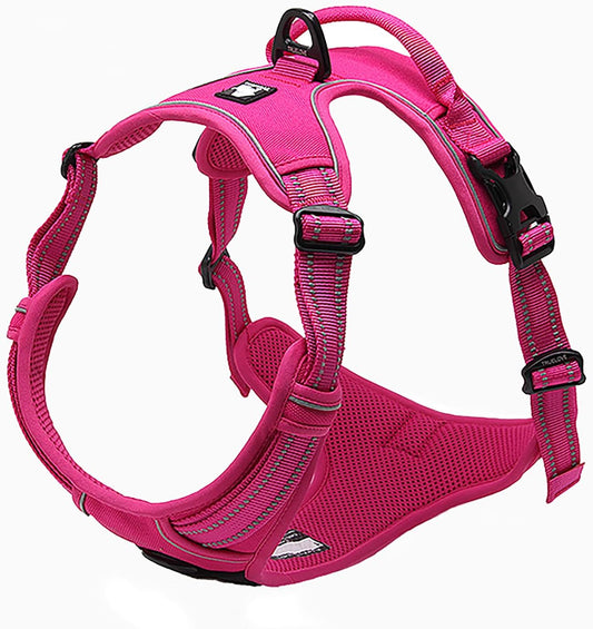 TRUE LOVE Adjustable No-Pull Dog Harness Reflective Pup Vest Harnesses Comfortable Control Brilliant Colors Truelove TLH5651(Fushcia,L)