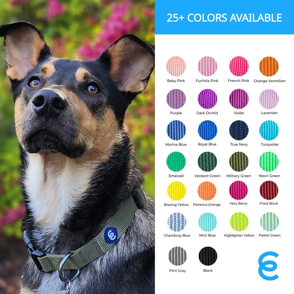 Blueberry Pet Essentials Matching Medium Adjustable & Durable Classic Solid Color Nylon Dog Collars for Medium Dogs | Mint Blue Collar for Girl & Boy Dogs