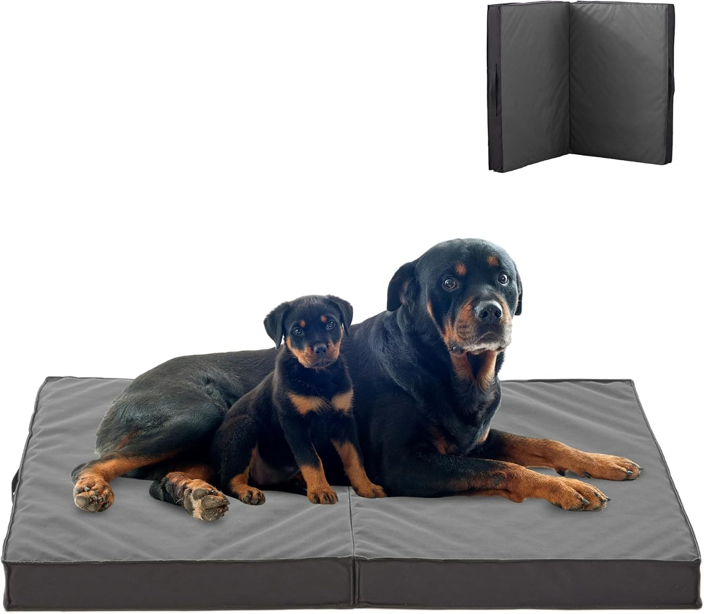 Outdoor Dog Bed for Large Dogs, Waterproof & Washable, Foldable & Orthopedic, 41" All Weather