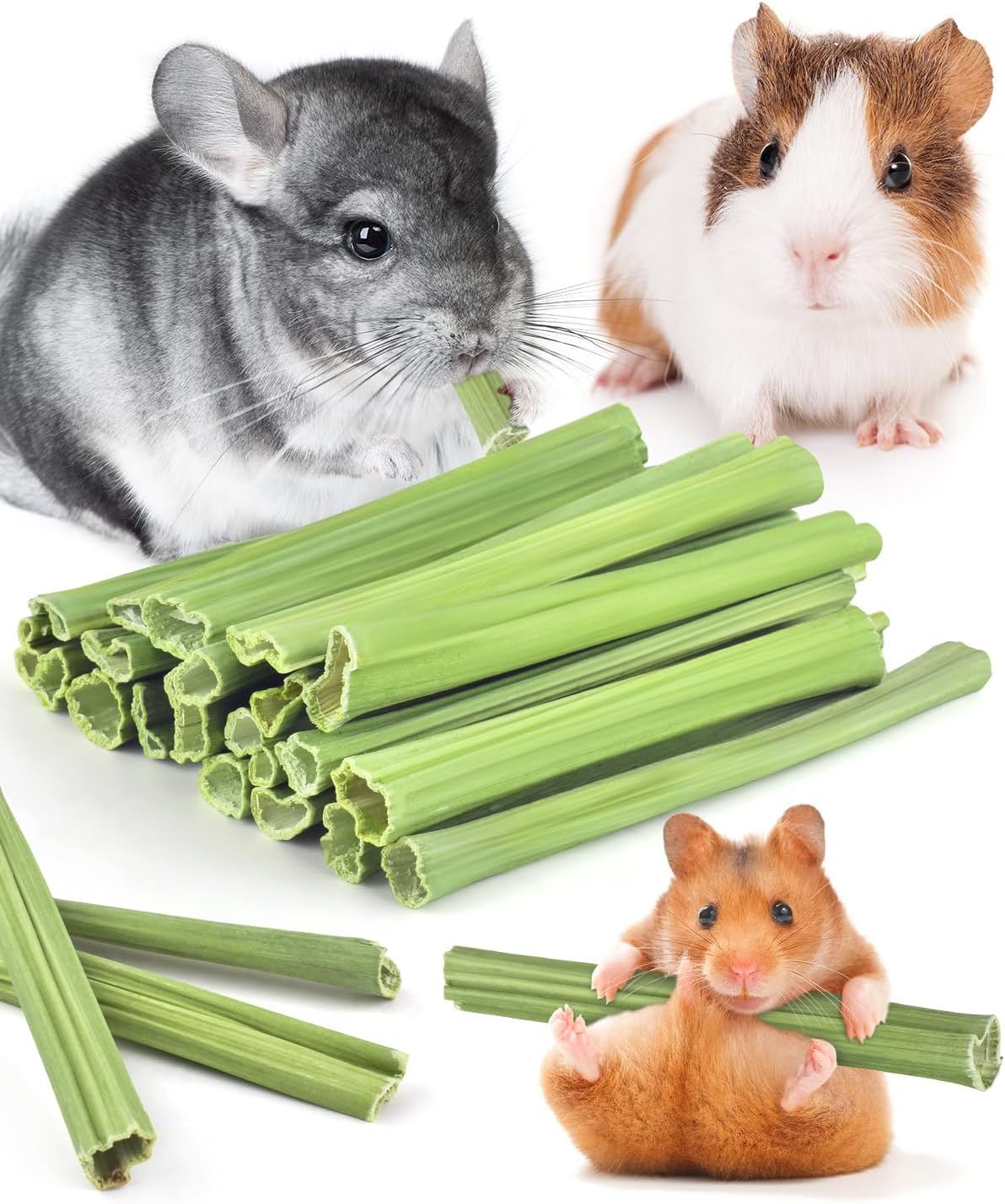 Bissap 25 PCS Guinea Pigs Chew Sticks, Natural Papaya Stems Bunny Chews Treats for Hamsters Chinchillas Small Animals Organic Molar Chewing Snack