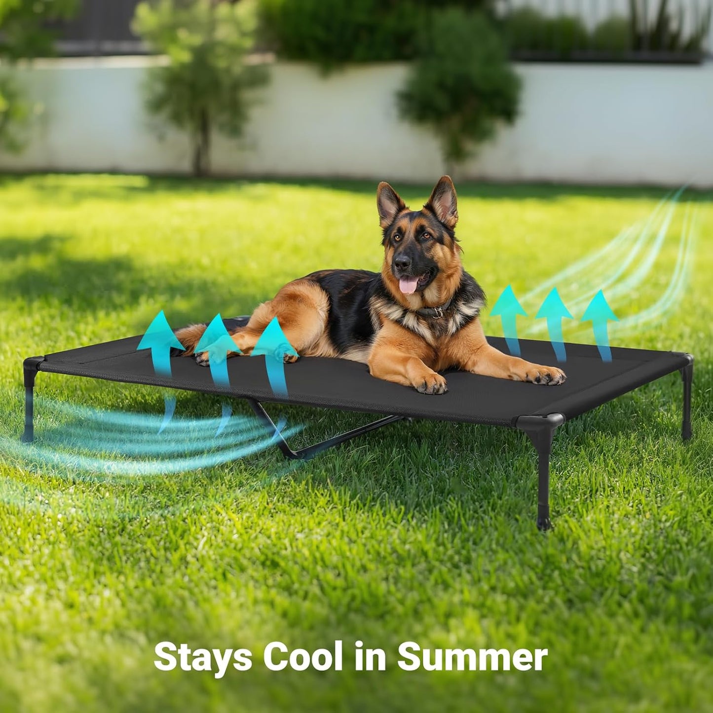 Veehoo XL Outdoor Elevated Dog Cot Bed, Cooling Raised Pet Bed, Washable Breathable Mesh Hammock Bed with No-Slip Feet, Indestructible Ground Off Training Platform Cot-49"x33" Brown