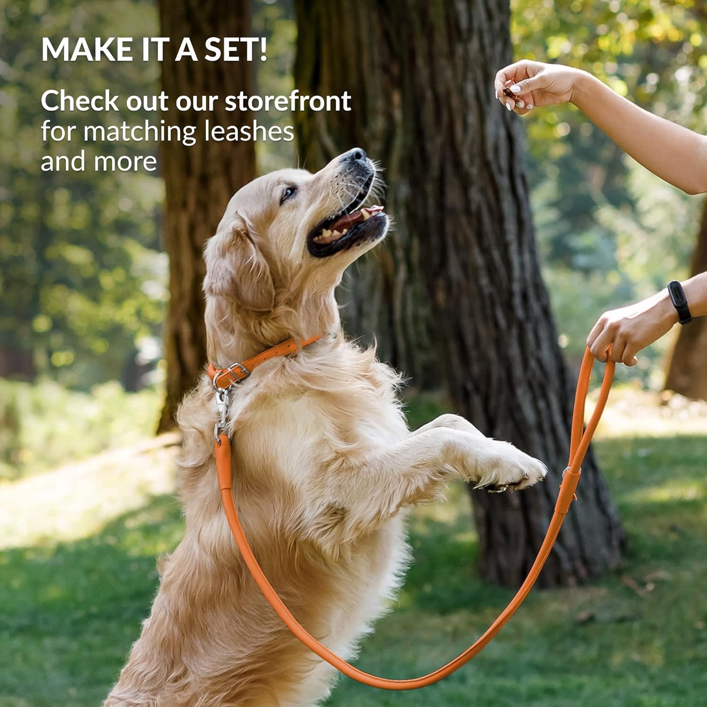 CollarDirect Rolled Leather Dog Collar, Soft Padded Round Puppy Collar, Handmade Genuine Leather Collar Dog Small Large Cat Collars 13 Colors (13-16 Inch, Orange Smooth)