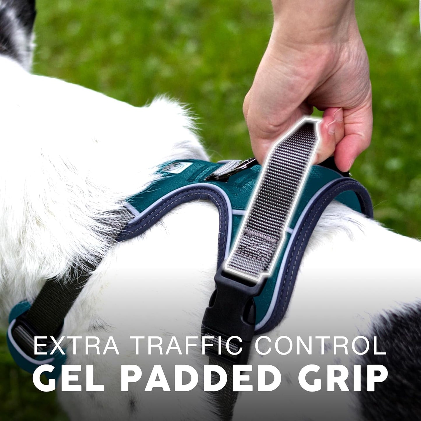 Embark Adventure Dog Harness, Easy On and Off with Front and Back Leash Attachment Points & Control Handle - No Pull Training, Size Adjustable and No Choke (Small - Teal Blue)