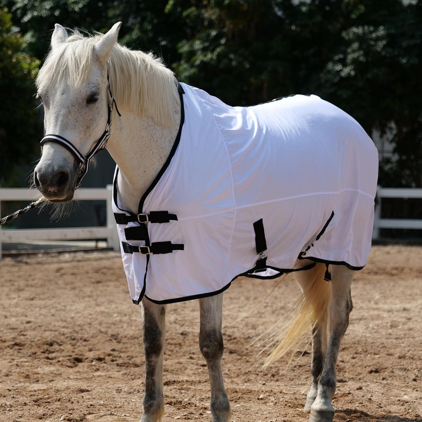 Horse Fly Sheet Equine Summer Sheets, Comfy Mesh Bug and Mosquito Protection Standard Neck - White 78"