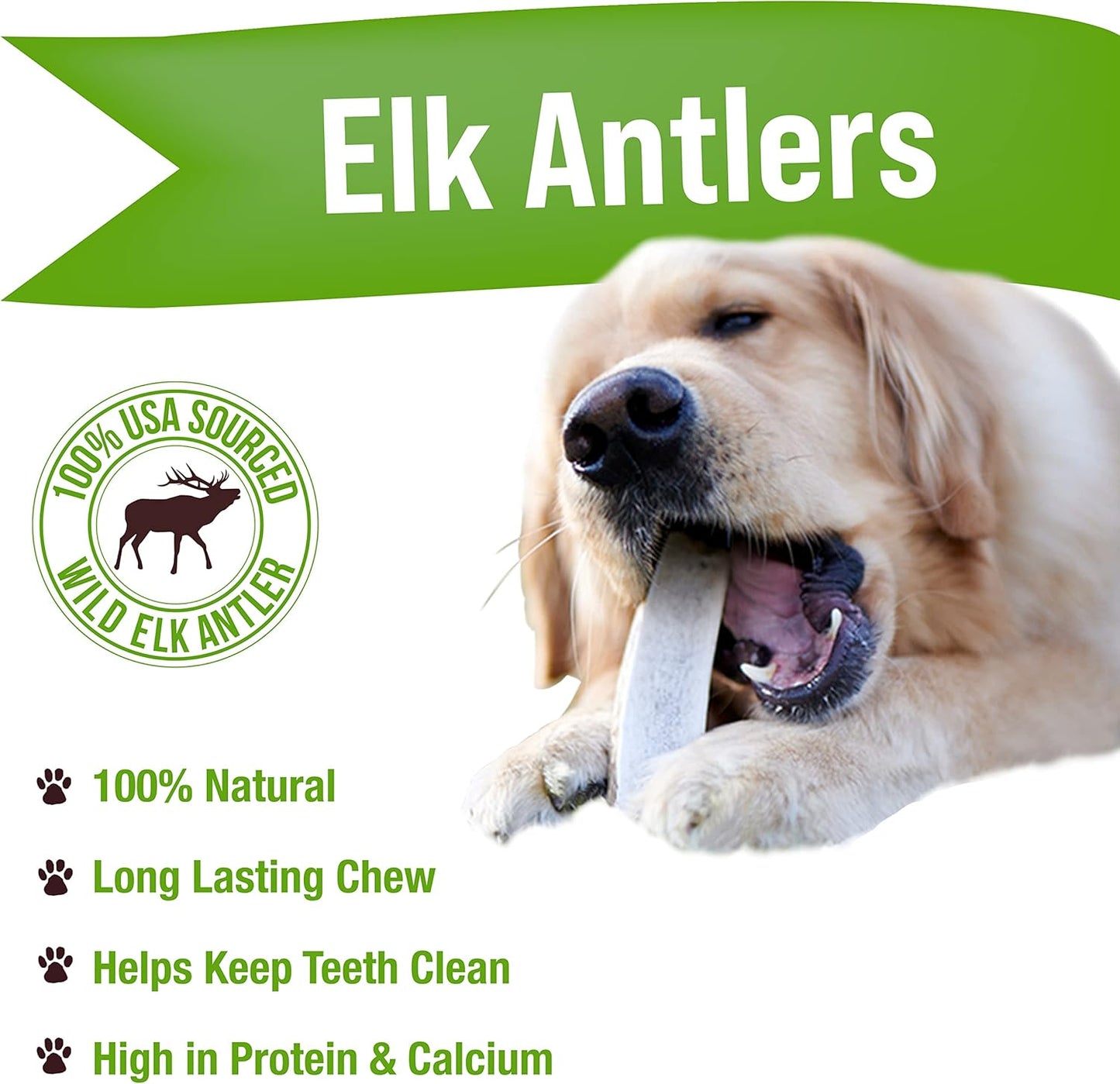 Buck Bone Organics Dog Chews, Elk Antlers for Dogs, Long Lasting Dog Bones for Aggressive Chewers, All Natural, No Preservatives, Wild Shed in The USA (Large 2 Pack)