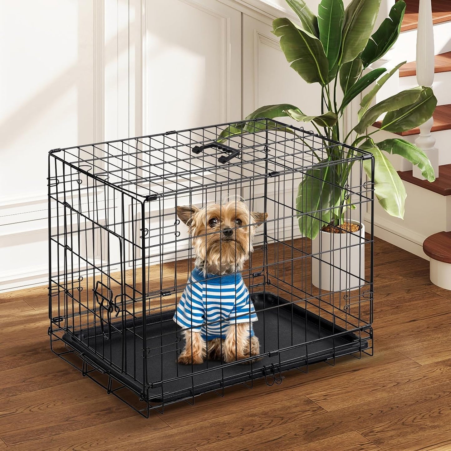 DUMOS Dog Crate, 24 Inch Small Single Door Dog Cage with Divider Panel and Plastic Leak-Proof Pan Tray, Folding Metal Wire Pet Kennel for Indoor, Outdoor, Travel