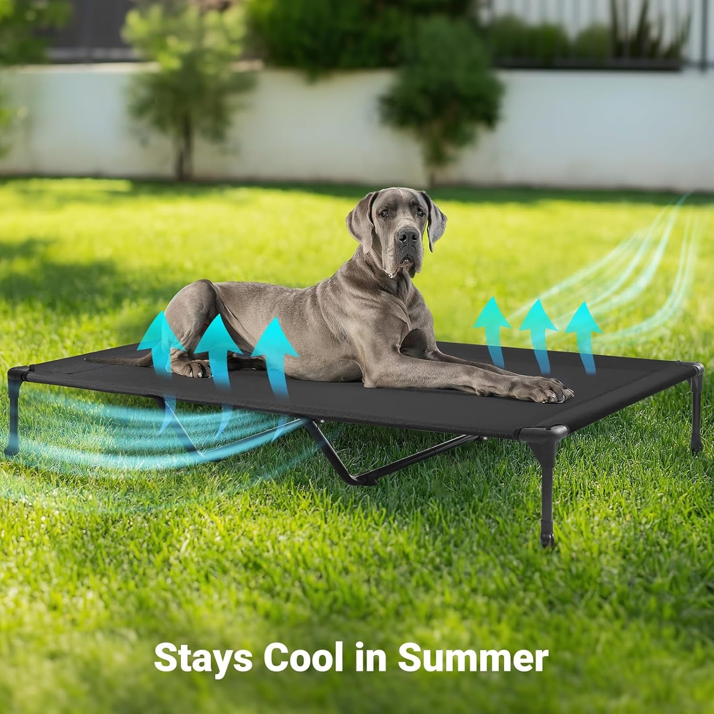 Veehoo Outdoor Elevated Dog Cot Bed, Cooling Raised Pet Bed for XX-Large Dog, Washable Breathable Mesh Hammock Bed with No-Slip Feet, Indestructible Ground Off Training Platform Cot-59"x37.5" Black