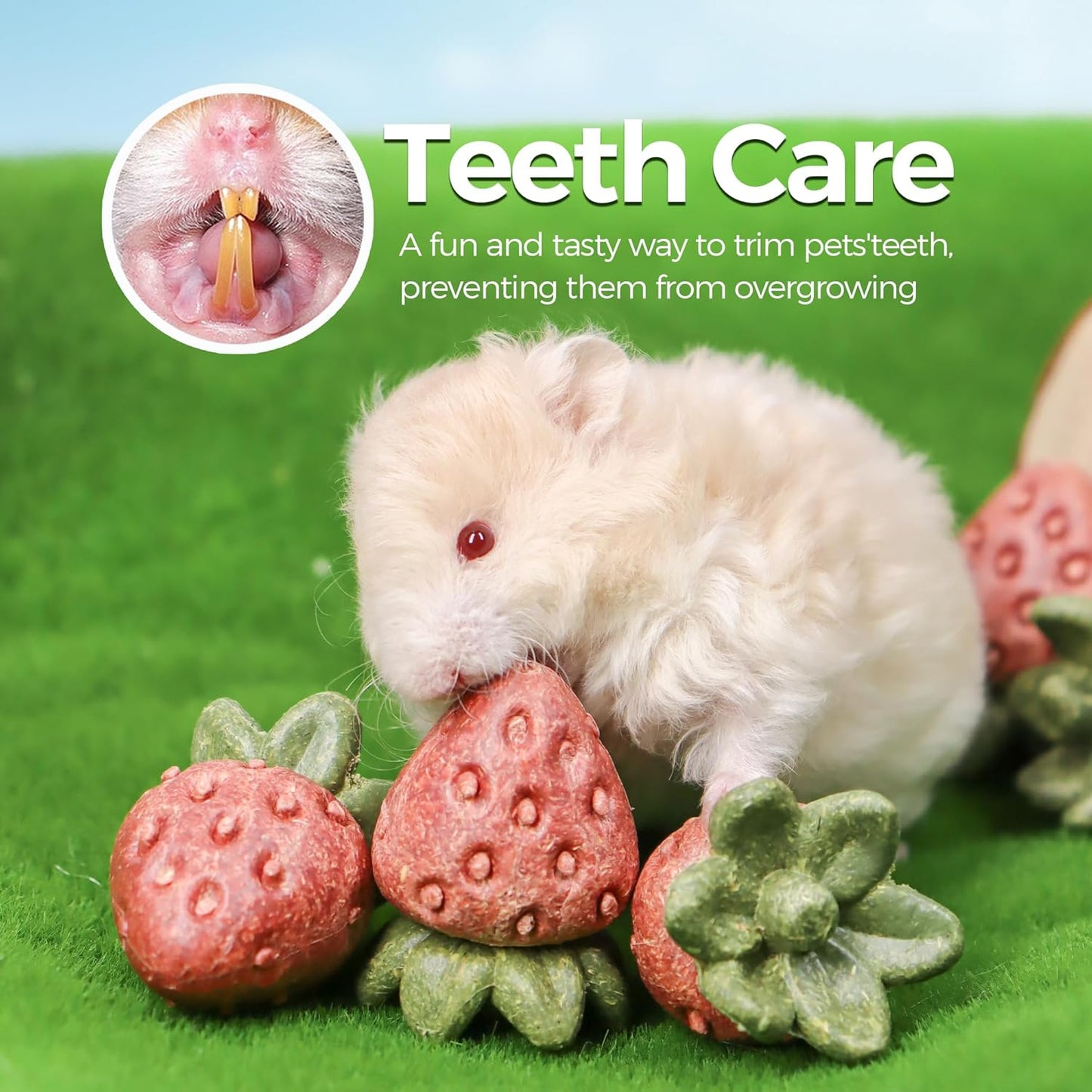 TEEWY 4PCS Hamster Chew Toys, Guinea Pig Chew Toys for Teeth with Natural Vegetables and Timothy Grass, Chinchilla Toys,Dental Care for Rats/Guinea Pigs/Hamsters and Gerbil, Strawberry-Shape