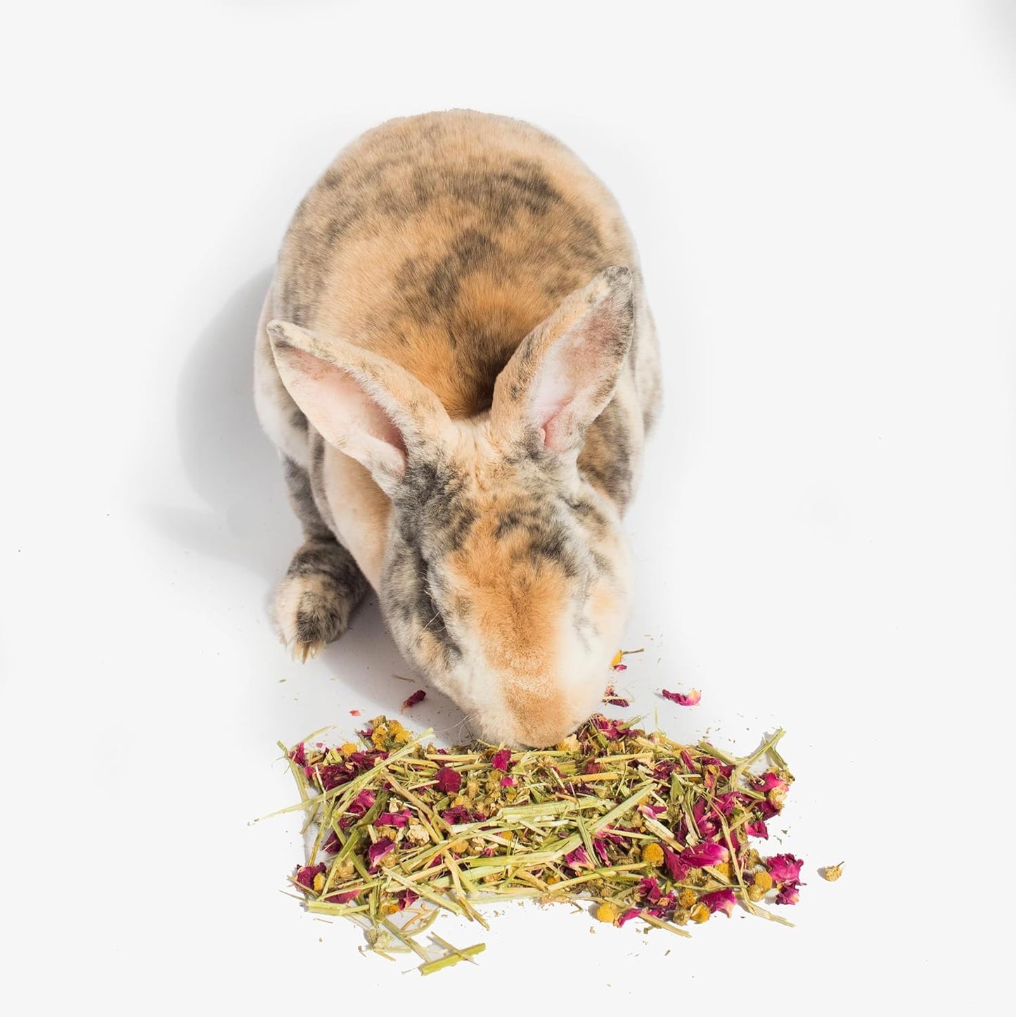 Herbal Calming Forage: Premium Rabbit Food, Hay for Guinea Pigs Food, Chinchilla Food, Hamster Treat Made with Timothy Hay & Organic Herbs (10 Ounces)