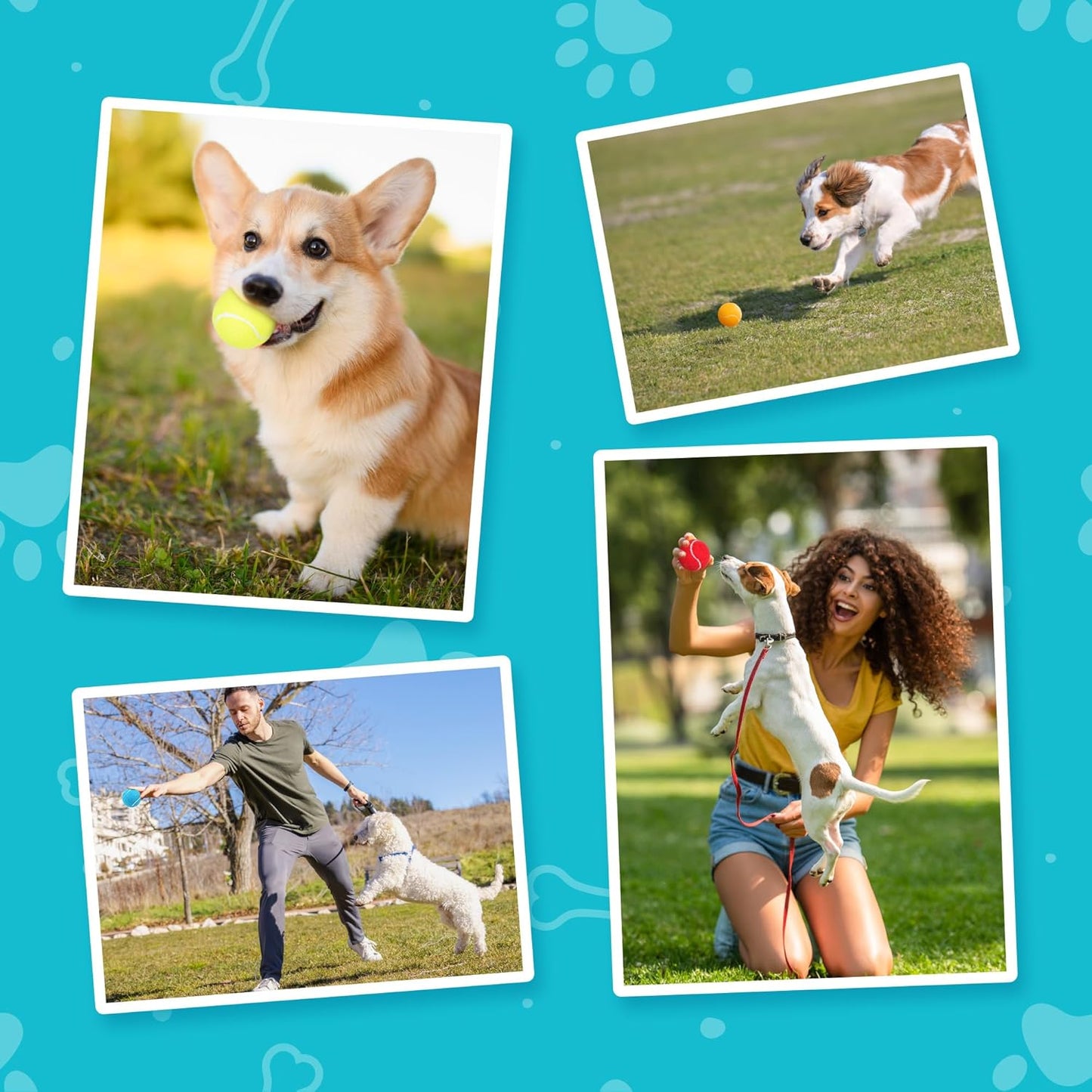 Prime Pets Tennis Balls for Dogs, 2.5 Inch, 12 Pack, Squeaky Dog Toy, Interactive Pet Fetch Ball for Medium and Large Dogs, Squeaky Dog Toys